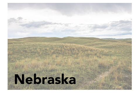 Nebraska State Promotional Product Sales Data