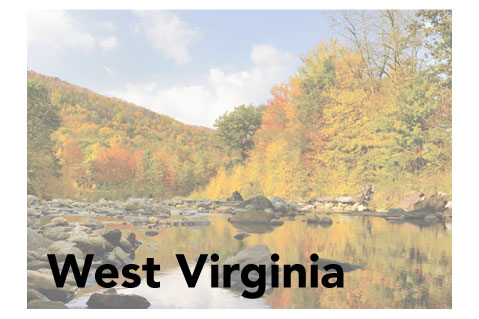 West Virginia State Promotional Product Sales Data