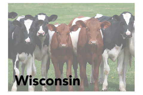 Wisconsin State Promotional Product Sales Data