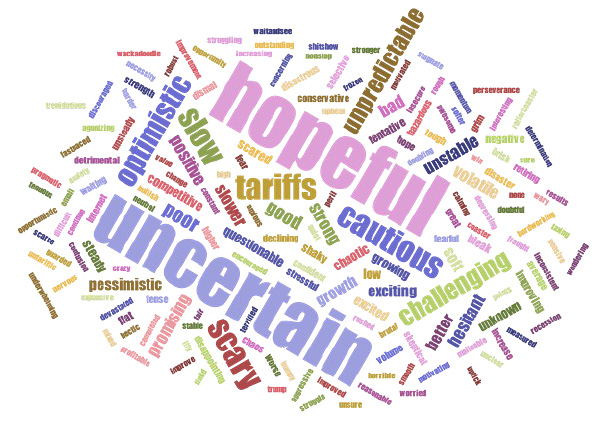 word cloud