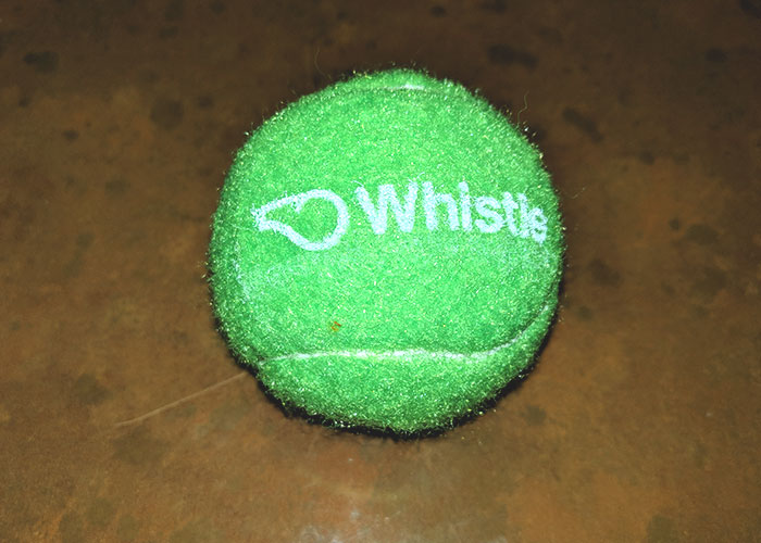 Smart Promotional Items at CES