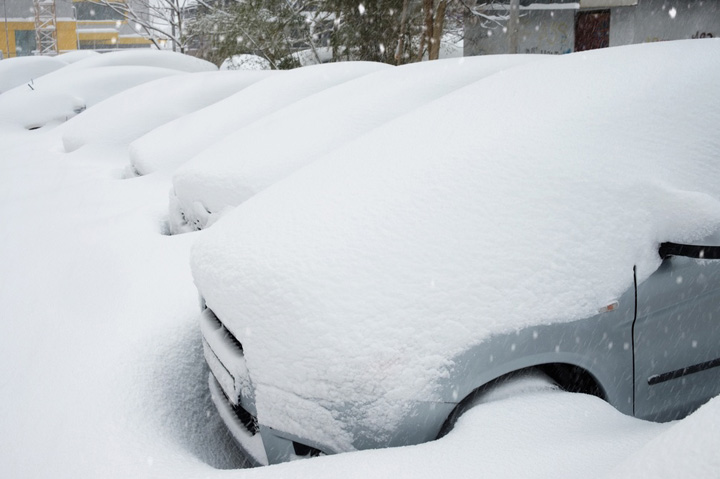 Winter Storm Fern Updates