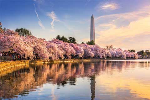 Promotional Products Sales Report 2020 – East
