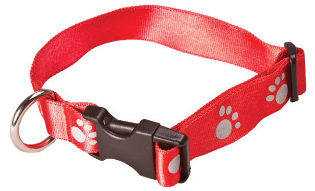 red dog collar with paw prints