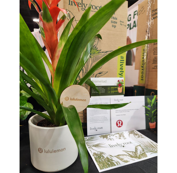 plant