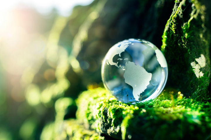 environment, conservation, globe