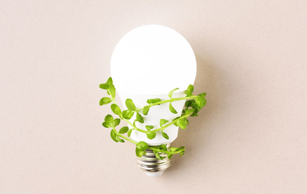 light bulb wrapped in green leaves