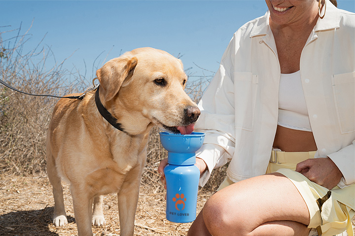 SnugZ Unleashes New Partnership With Pet Accessory Brand Springland Pets