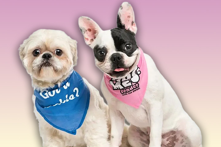 Editor’s Picks: Personalized Pet Items
