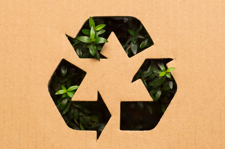 4 Strategies for Discussing Sustainability With Customers