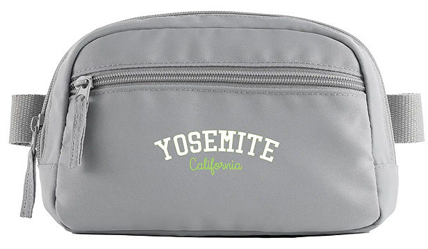 recycled sport fanny pack